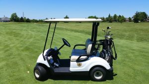 Are Golf Cart Injuries Inherent to Golf? Michigan Supreme Court Weigh In